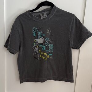 Phish Comfort Colors Dark Gray Graphic Crop Top